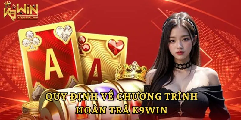 Quy định chi tiết về chính sách hoàn trả K9win